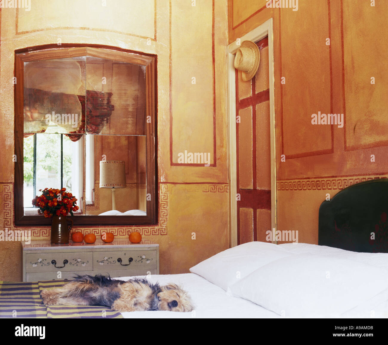 Dog Lying on a Bed in Spanish bedroom with large mirror Stock Photo Alamy
