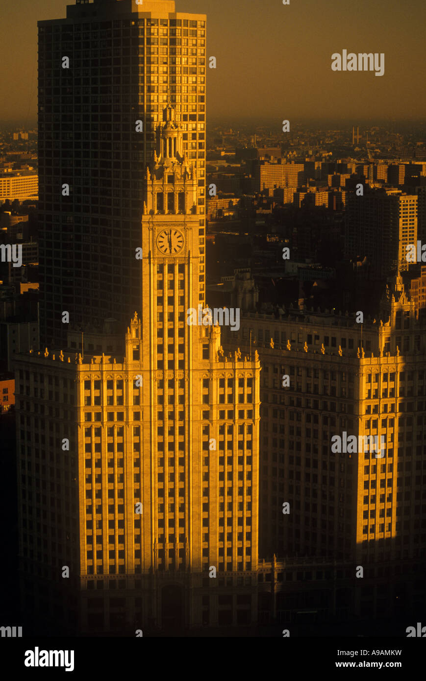 WRIGLEY BUILDING THE LOOP CHICAGO ILLINOIS USA Stock Photo - Alamy