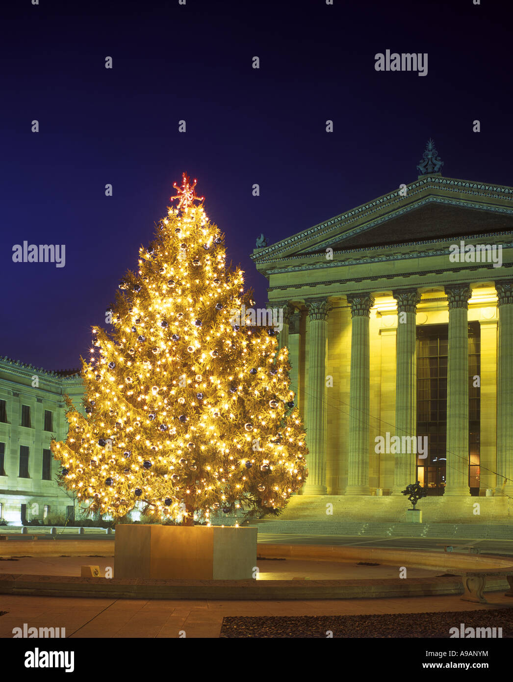 philadelphia christmas tree stock photos philadelphia christmas