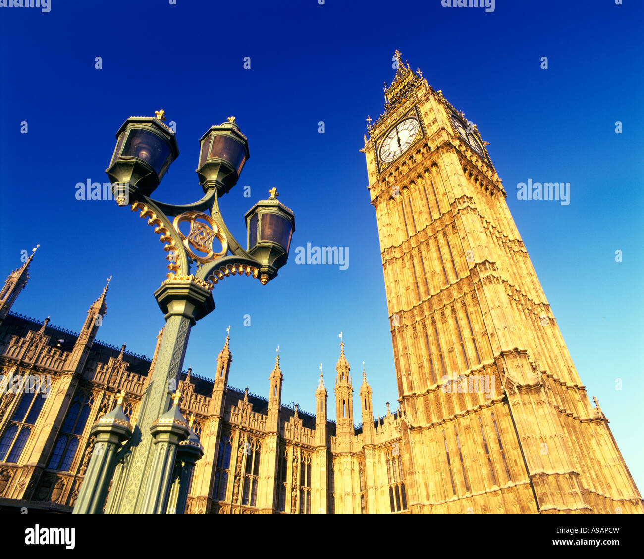 My Image 16