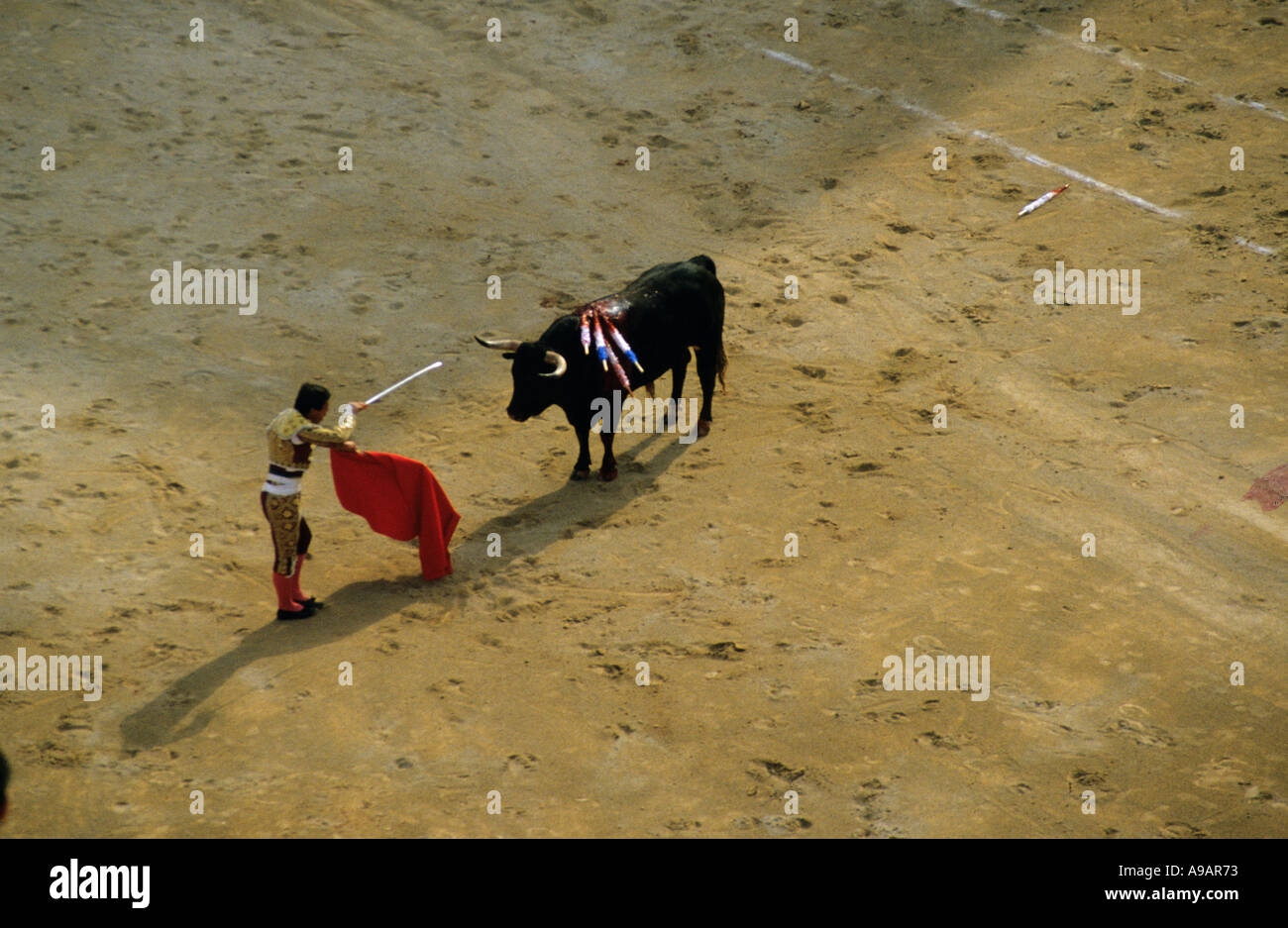 Death of the bull fighter hi-res stock photography and images - Alamy