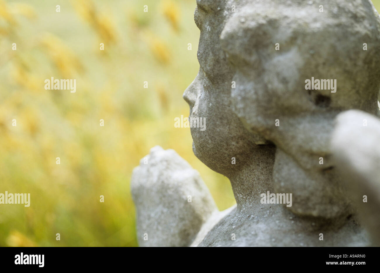 Detail of a gravestone angel with yellow flowers and summer grasses beyond Stock Photo