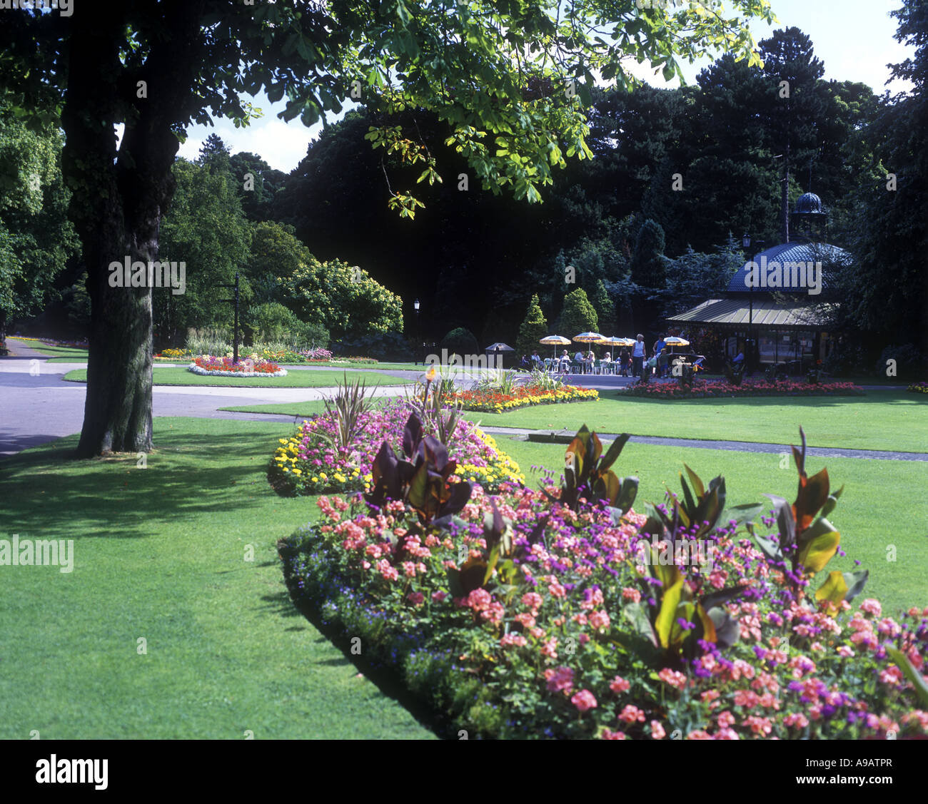 PINK FLOWER BEDS VALLEY GARDENS HARROGATE NORTH YORKSHIRE ENGLAND UK