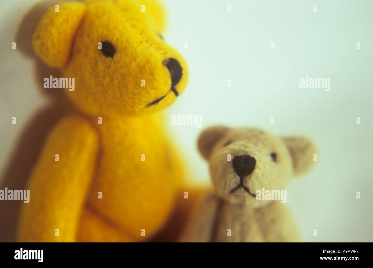 sibling teddy bears