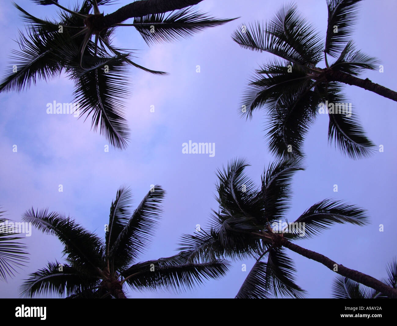 Looking island coast scenery hawaii hi-res stock photography and images ...