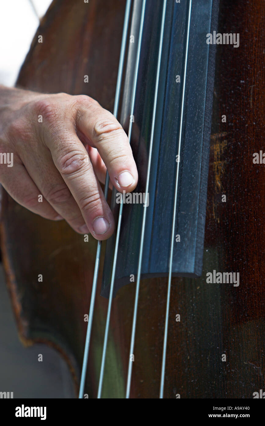 Male hand plucking strings on an upright bass Stock Photo Alamy
