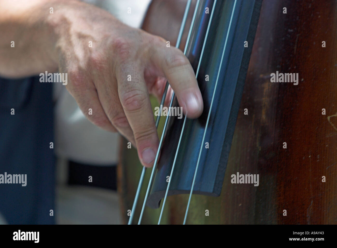 Male hand plucking strings on an upright bass Stock Photo Alamy