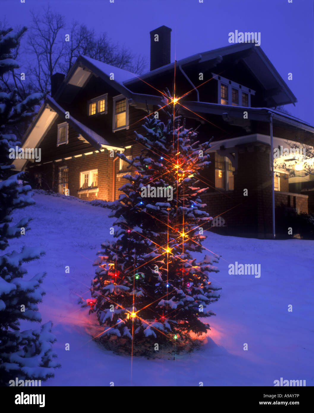 SNOW COVERED CHRISTMAS TREE LIGHTS IN GARDEN OF HOUSE BROOKVILLE HISTORIC DISTRICT JEFFERSON