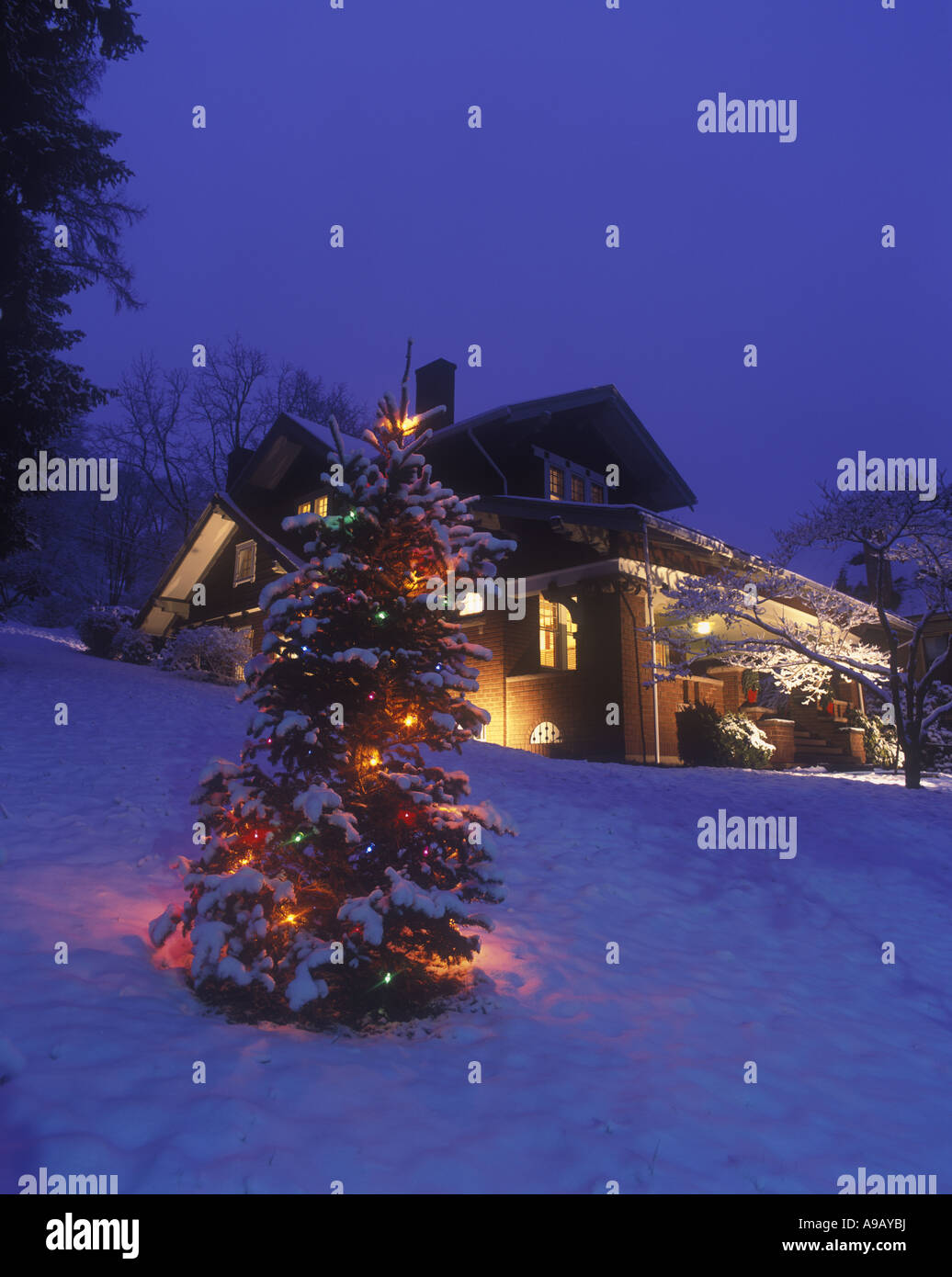 Brookville Christmas Tree Lighting Party 2022 1990S Christmas Tree High Resolution Stock Photography And Images - Alamy