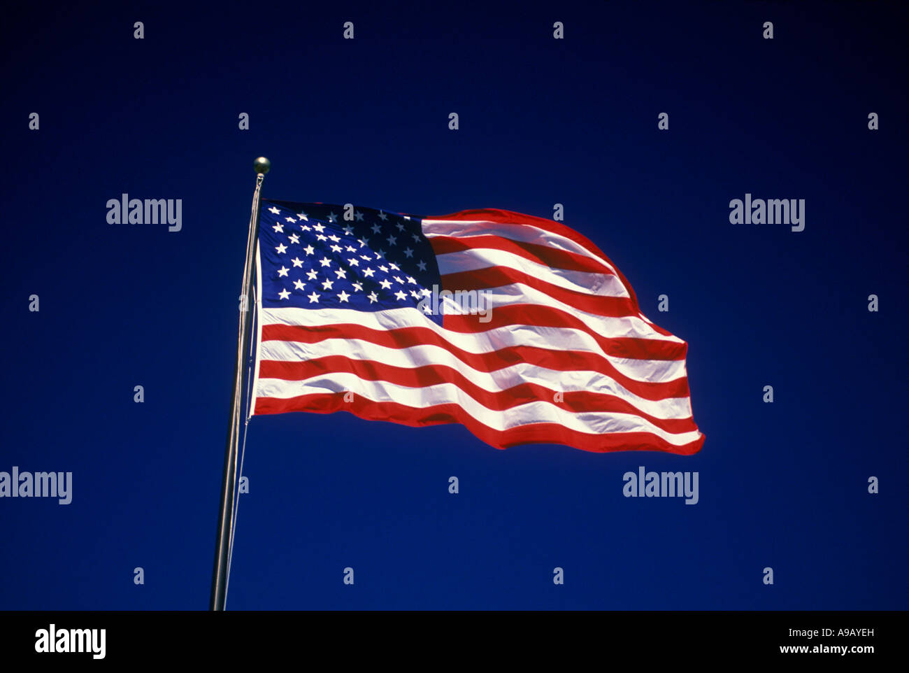 FULL UNITED STATES OF AMERICA FLAG FLYING ON FLAGPOLE WITH CLEAR BLUE ...