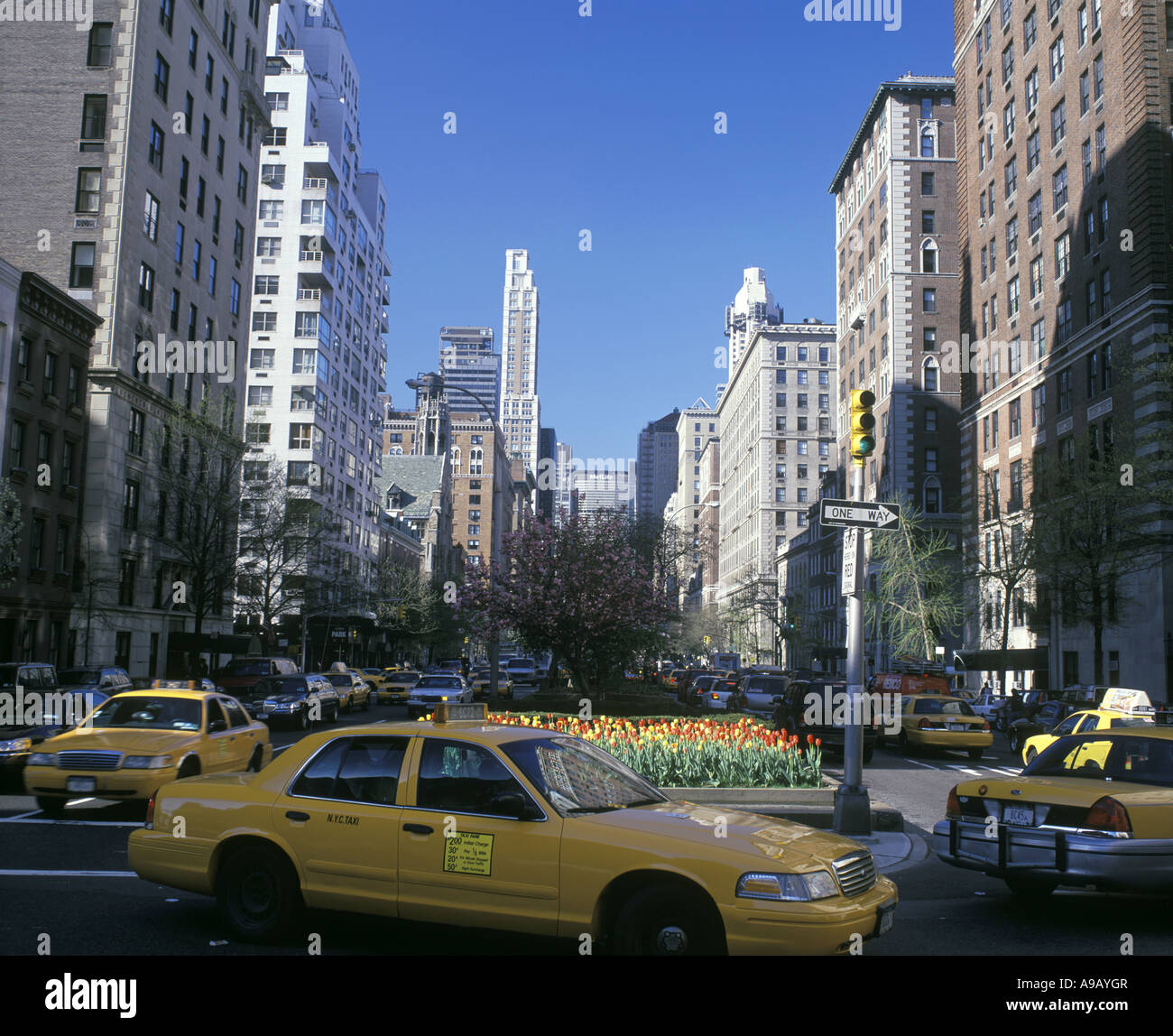 STREET SCENE YELLOW TAXI CABS PARK AVENUE MANHATTAN NEW YORK CITY USA ...