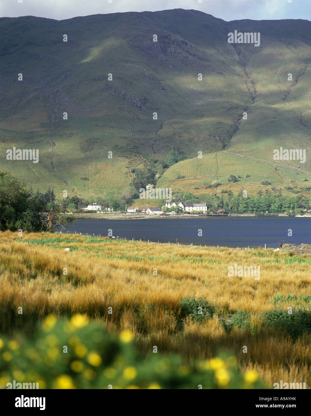 SCENIC LEENANE CONNEMARA COASTLINE COUNTY GALWAY IRELAND Stock Photo ...