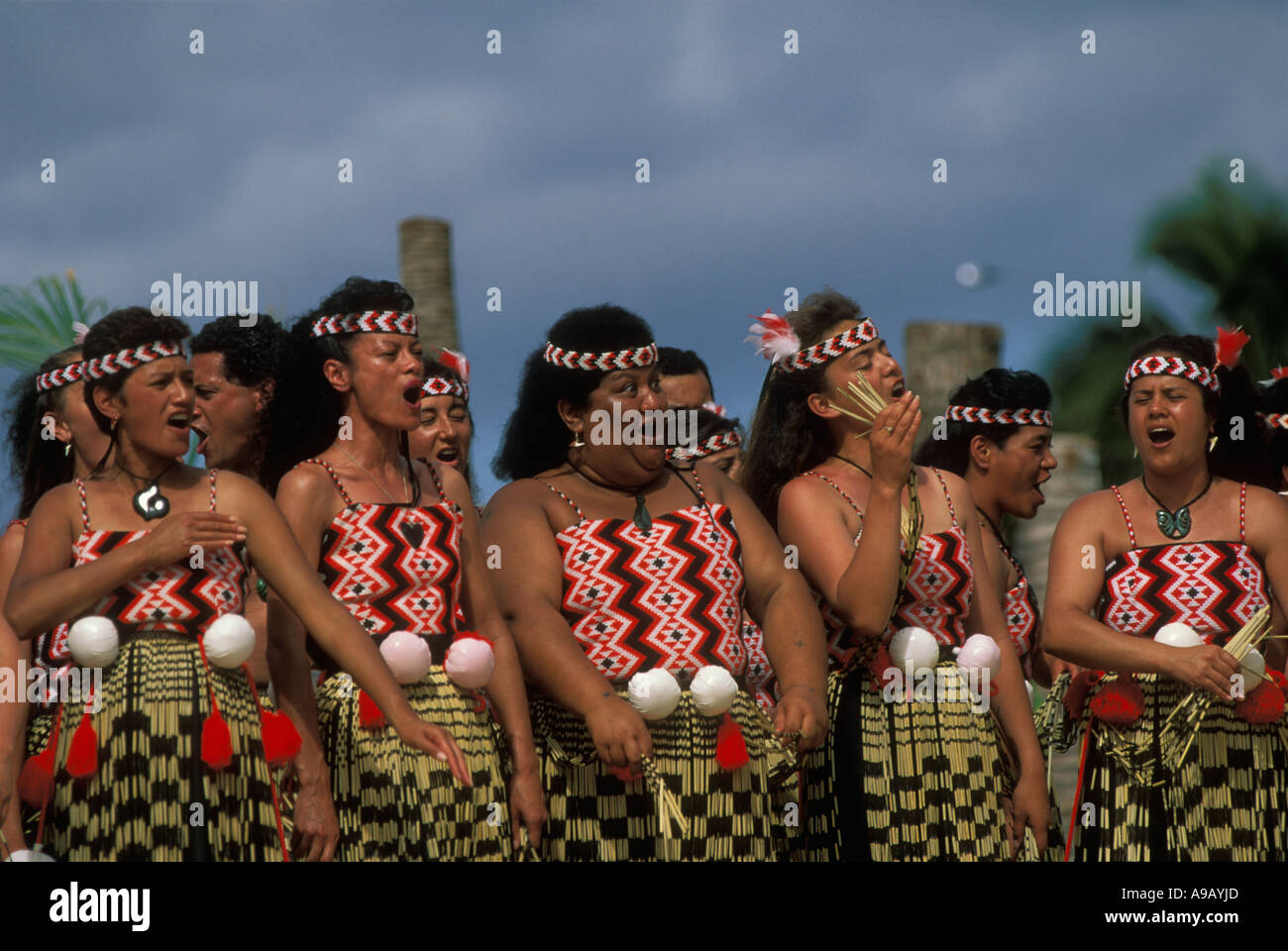 Maori from New Zealand perform traditional songs and dances at the 6th ...