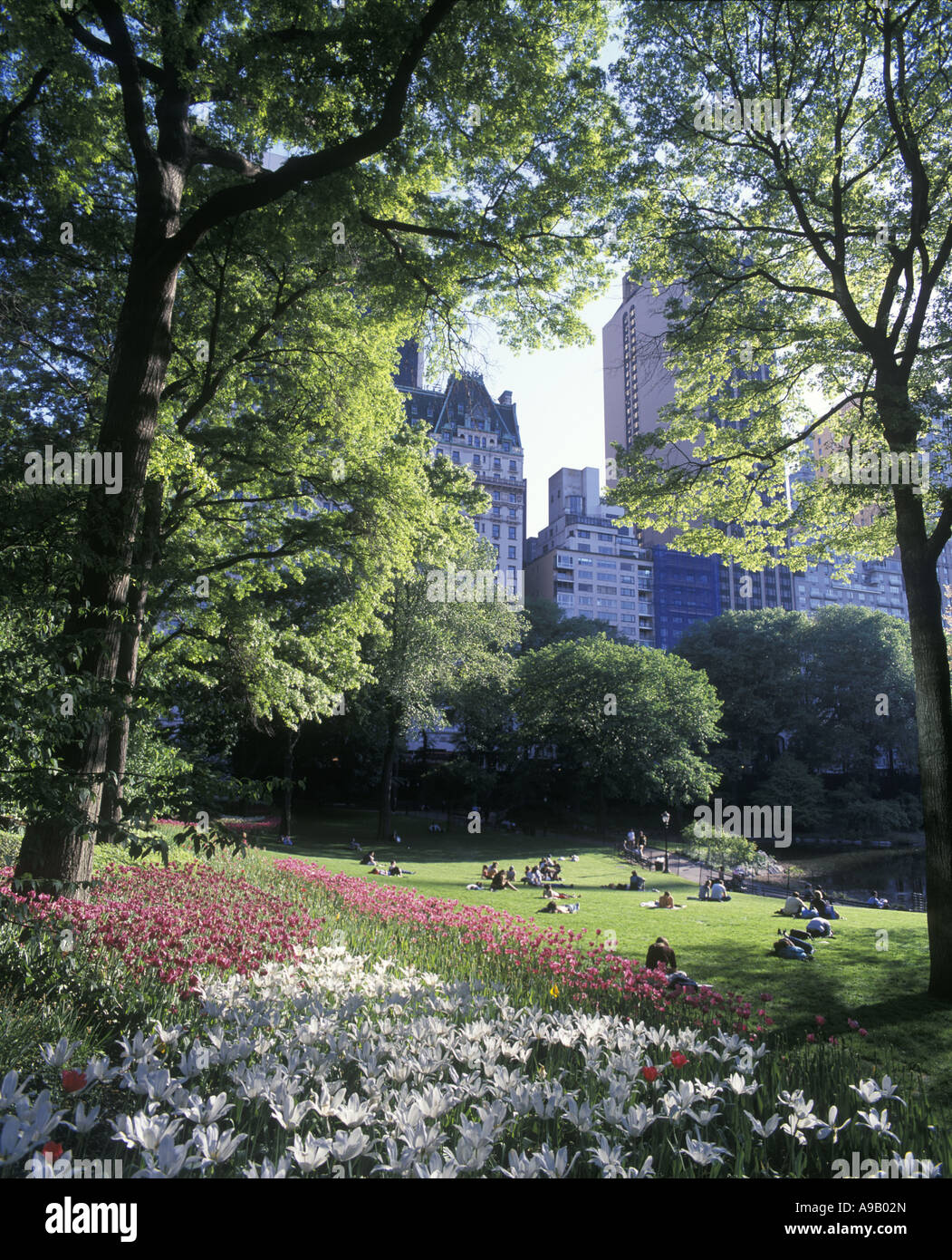 SPRING FLOWERS CENTRAL PARK MANHATTAN NEW YORK CITY USA Stock Photo - Alamy