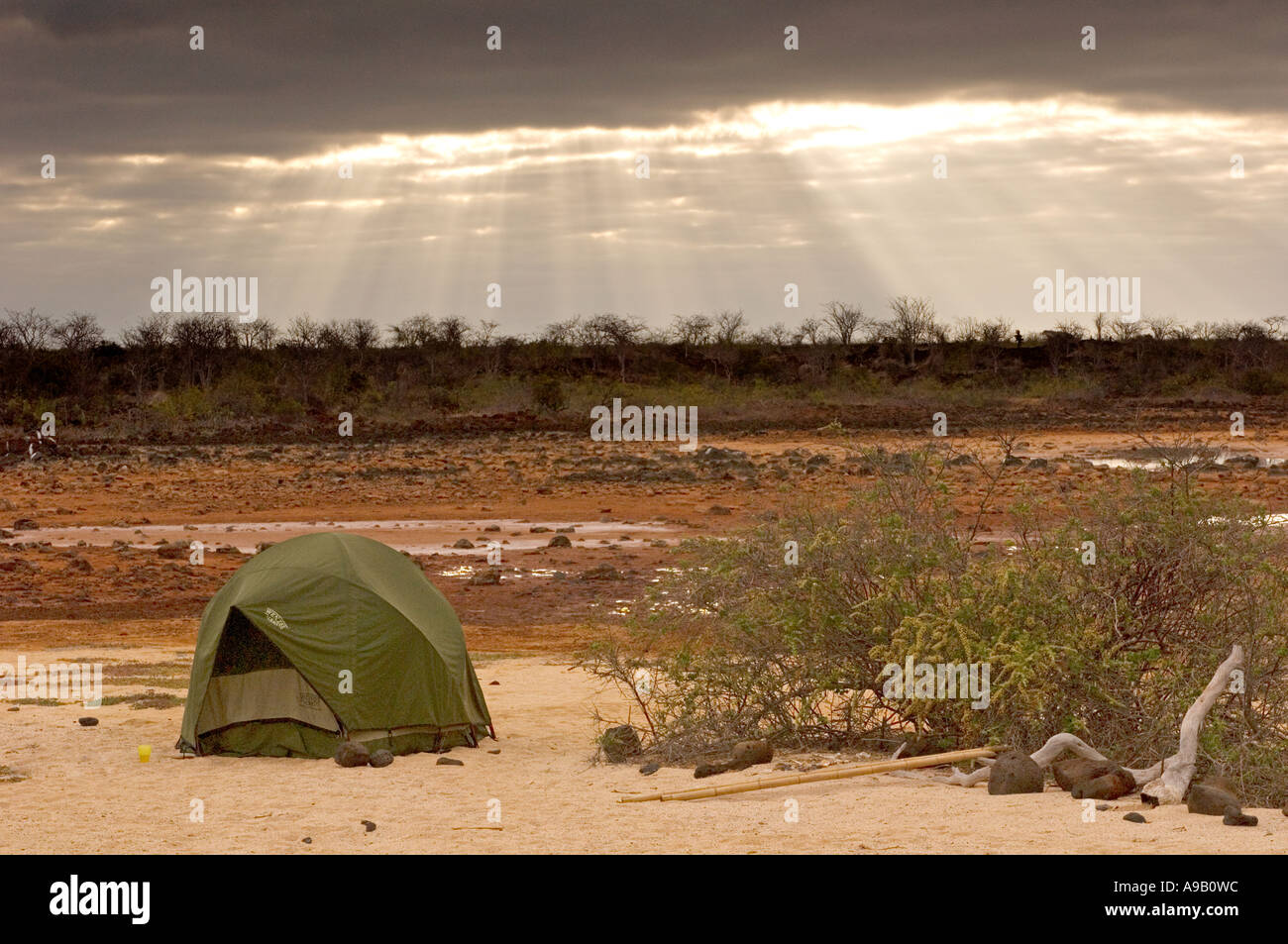 South America Latin America Ecuador Galapagos Islands Baltra Island near Santa Cruz Island Tent camping Stock Photo