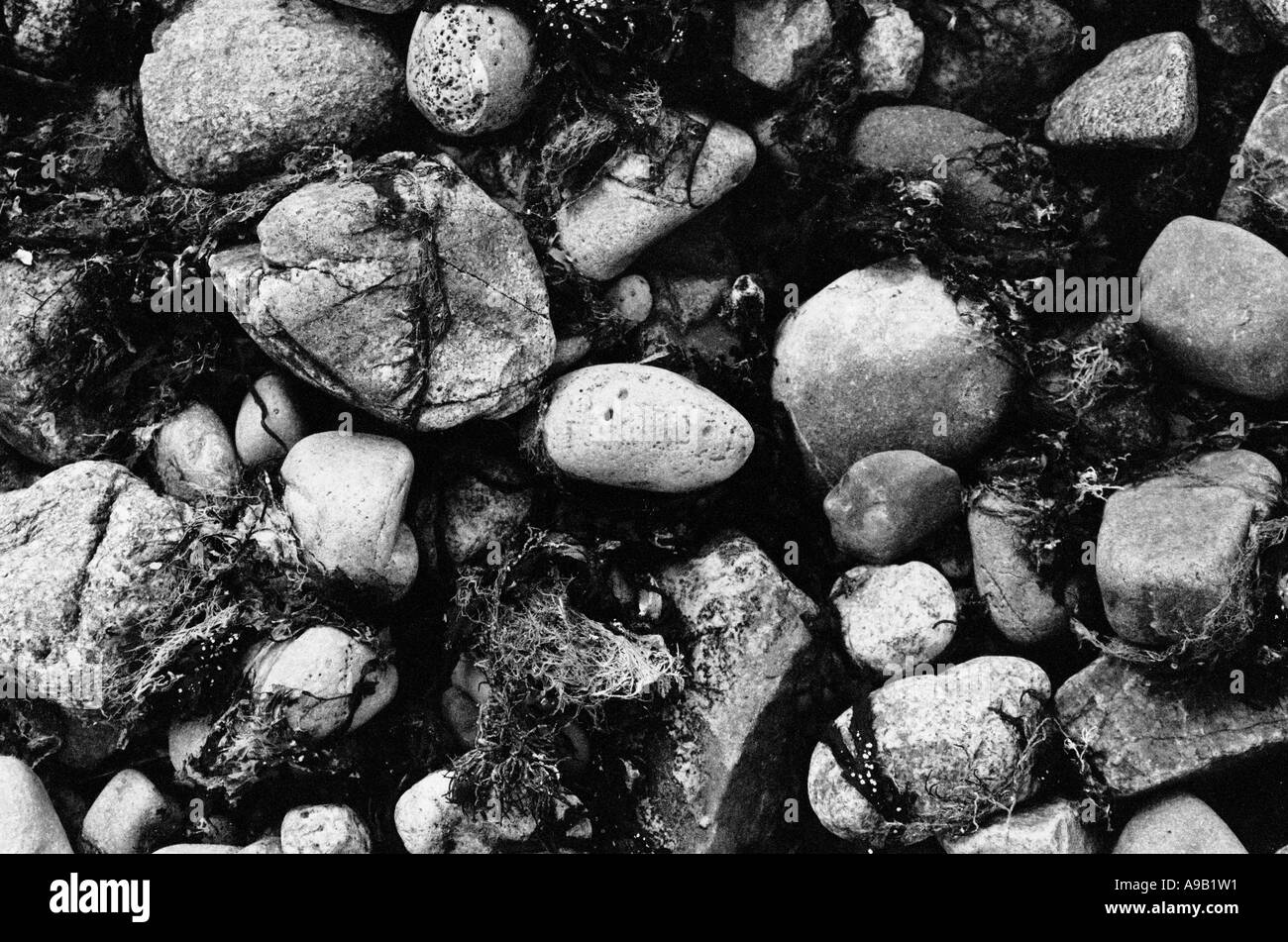 Wet beach pebbles Black and White Stock Photos & Images - Alamy