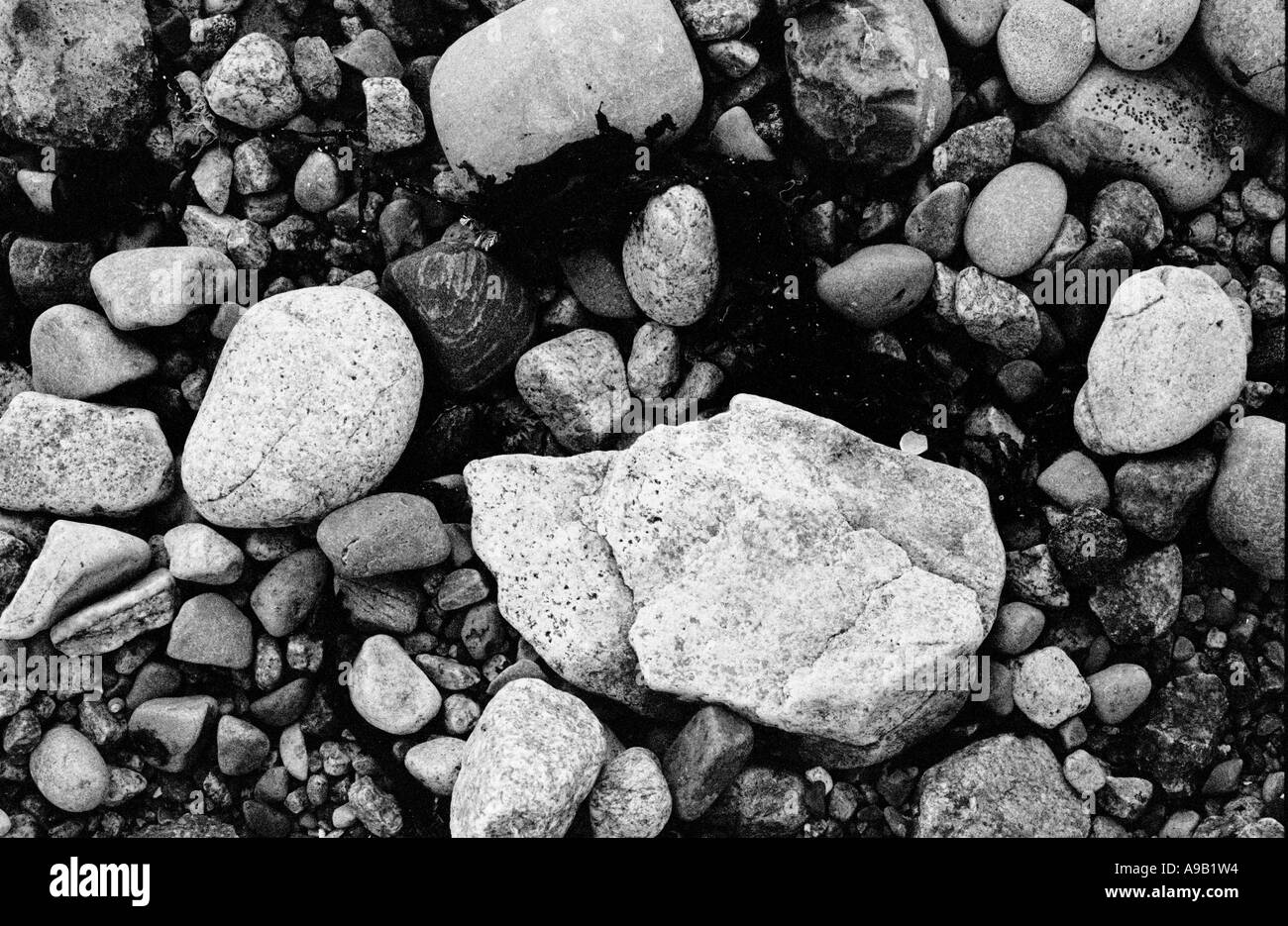 Wet beach pebbles Black and White Stock Photos & Images - Alamy