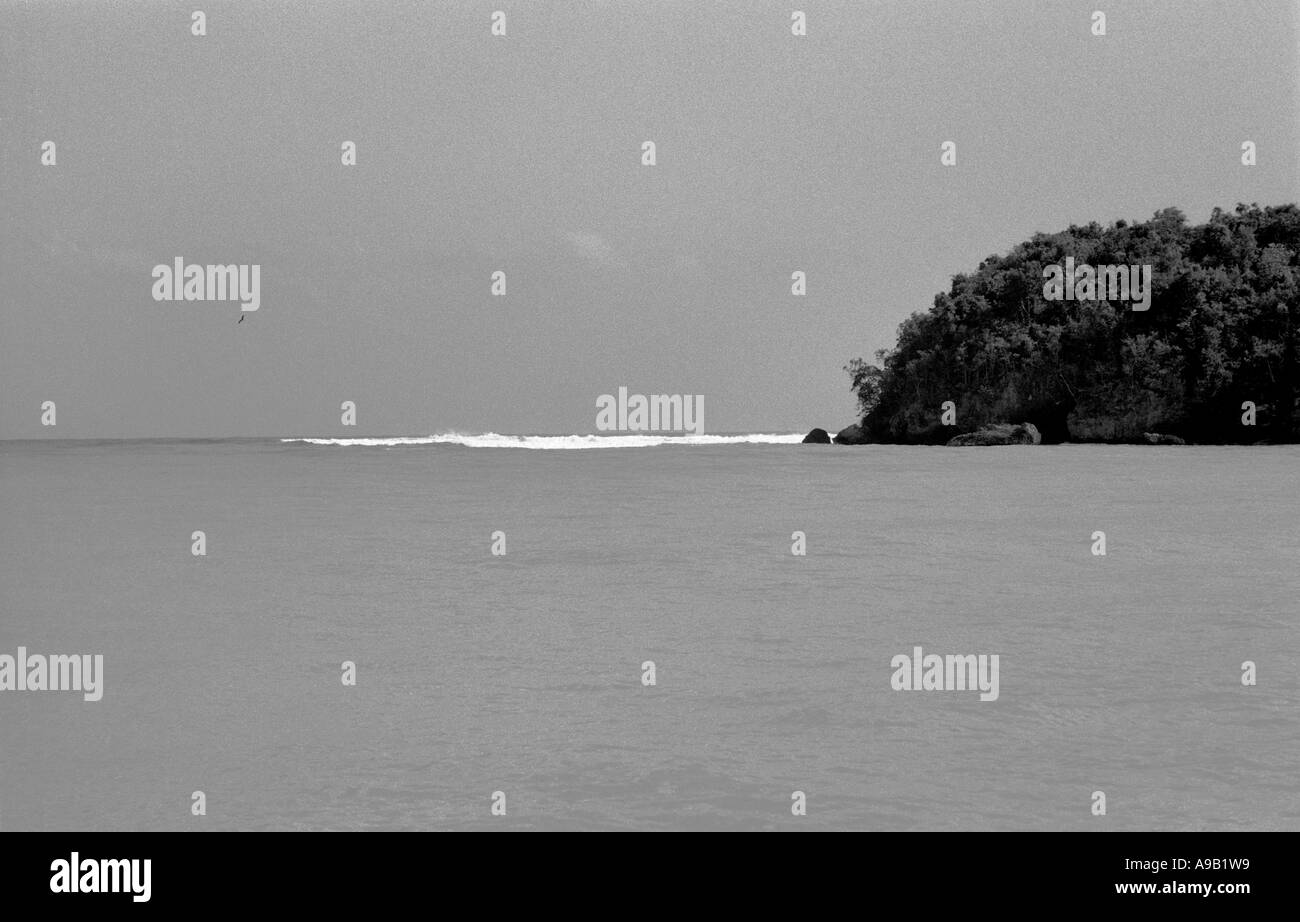 Jamaican seascape in black and white with bird! Stock Photo