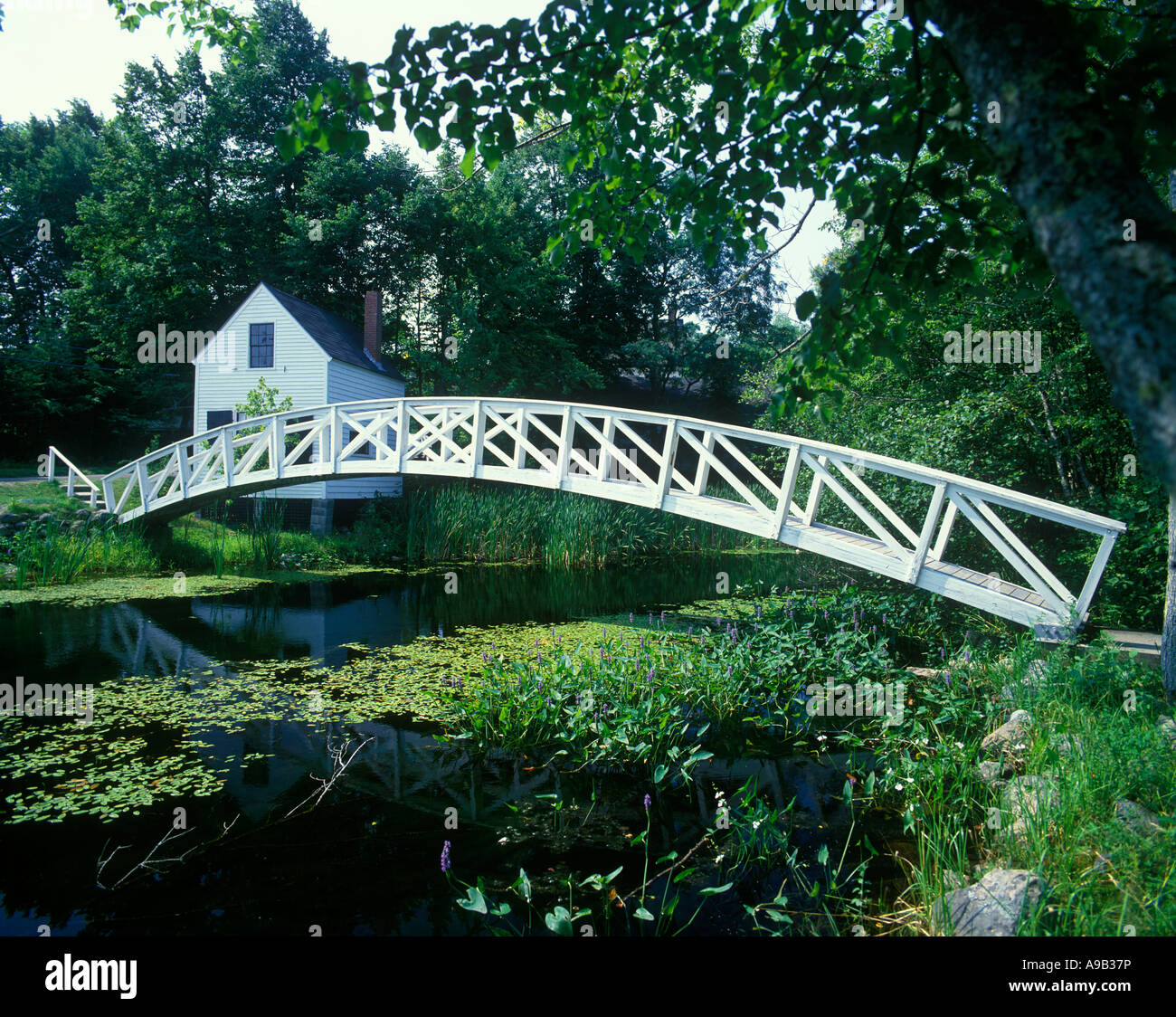 Old Footbridge And Mill Pond Somesville Mount Desert Island Maine Usa Old Footbridge And Mill Pond Somesville Mount Desert Island Maine Usa