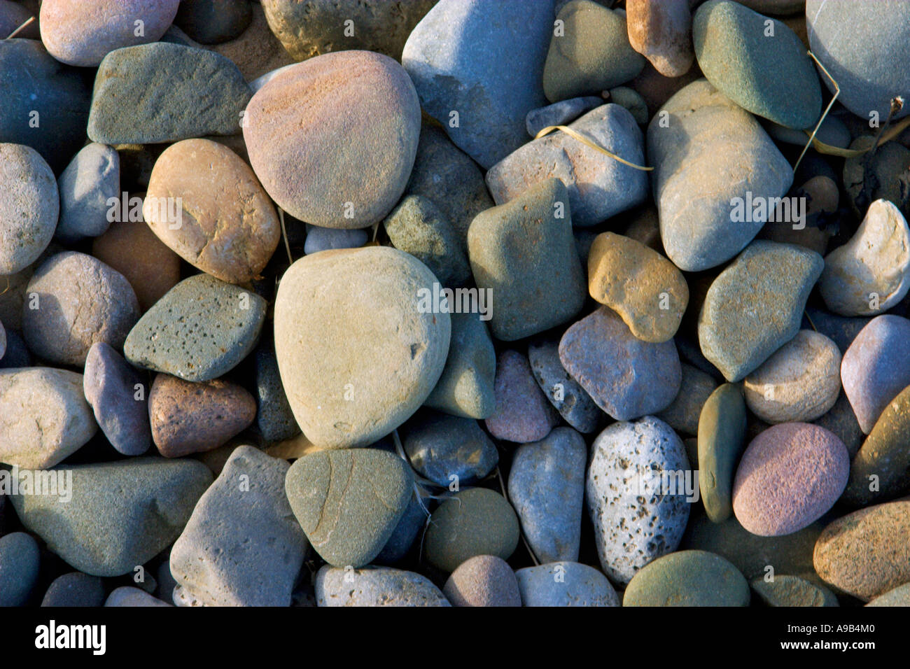 Pebbles on a beach Stock Photo
