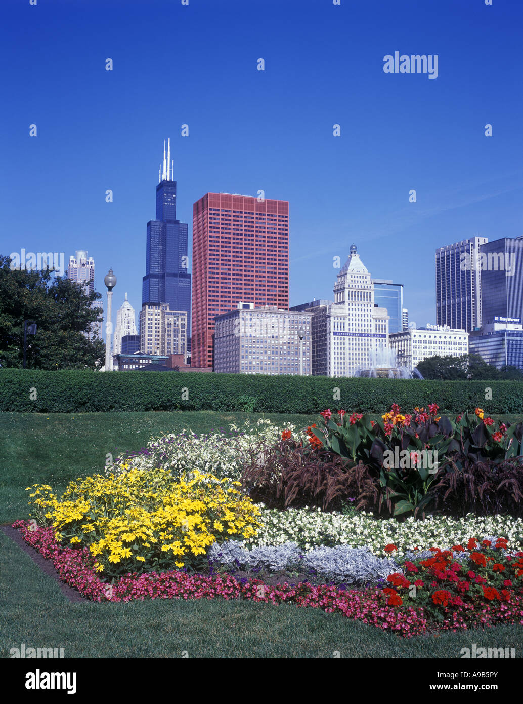 FLOWER BEDS GRANT PARK DOWNTOWN SKYLINE CHICAGO ILLINOIS USA Stock ...