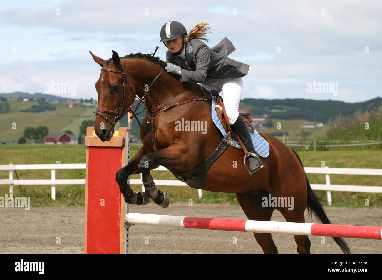 Horse and rider jumping fence Stock Photo - Alamy