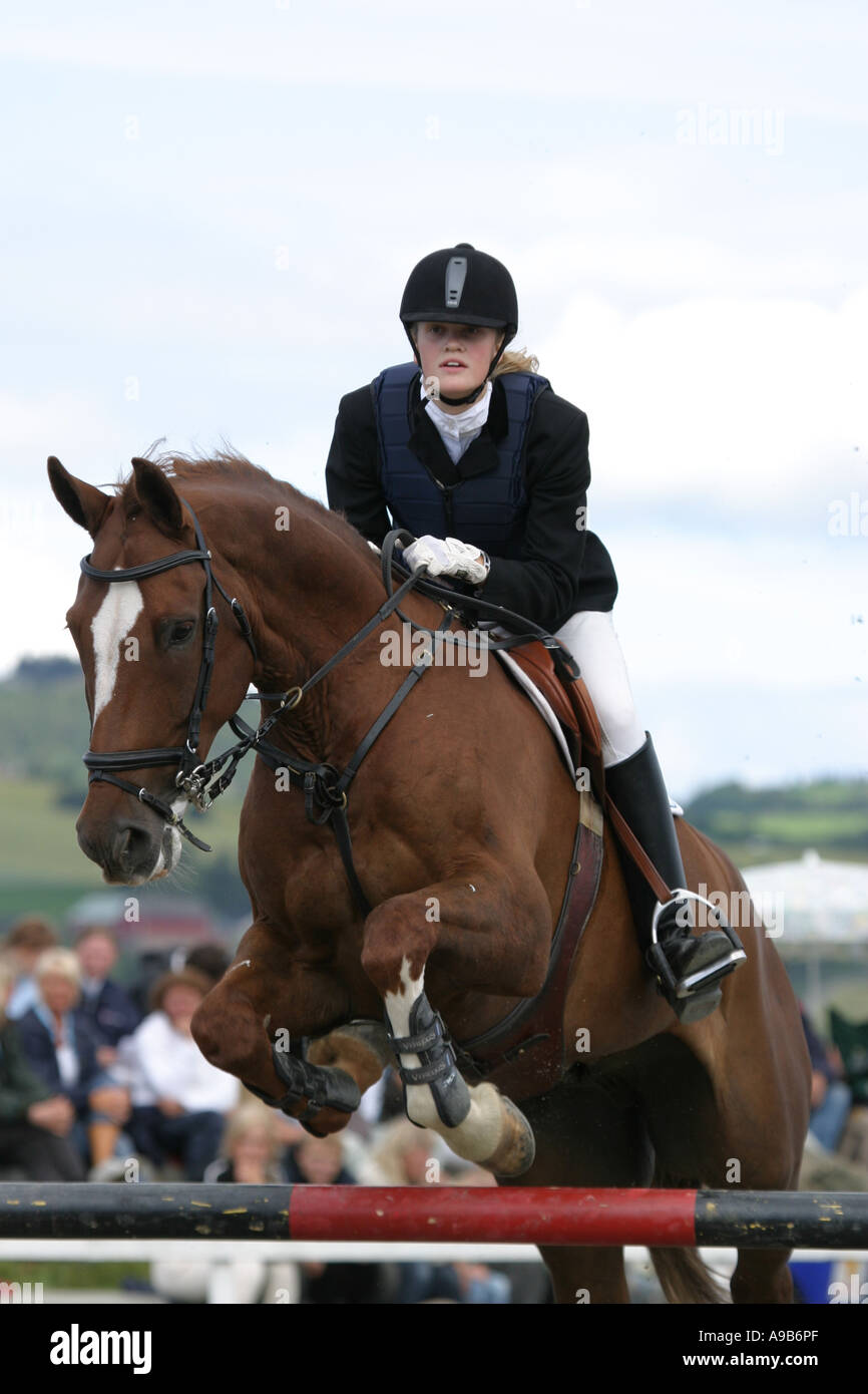 Horse and ride at show jumping competition Stock Photo