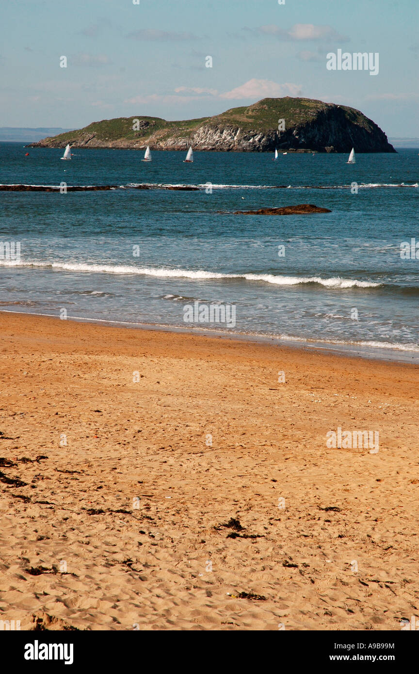 Craigleith Island,Firth Of Forth,North Berwick,East Lothian,Scotland,UK