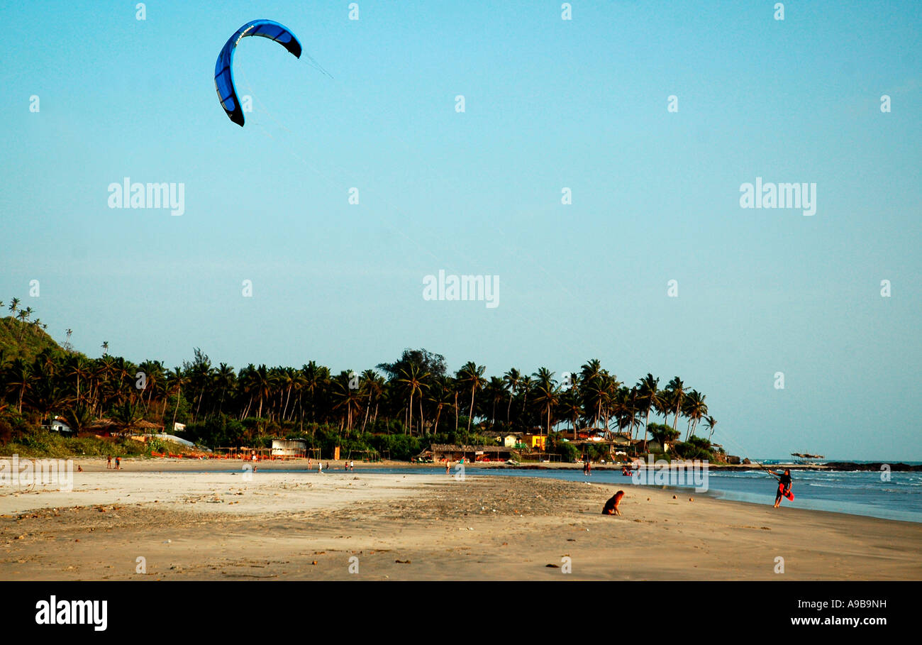 Dog watching a parasurfer on Mandrem Beach,Goa,India,Asia Stock Photo
