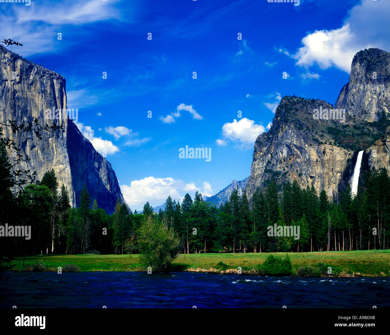 Yosemite National Park in California where dramatic waterfalls cascade over granite cliffs into lowland forests Stock Photo