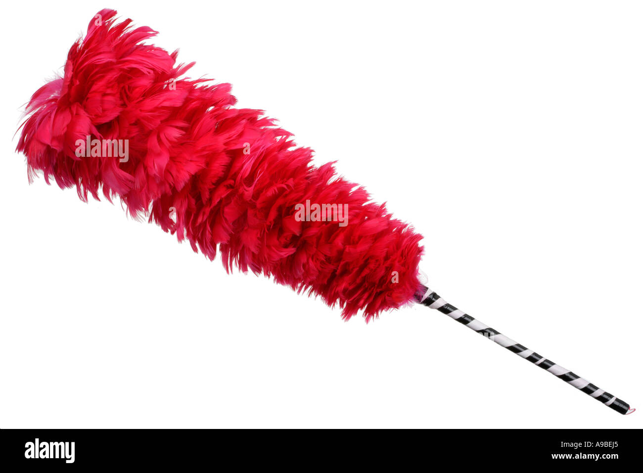 Red Feather Duster High Resolution Stock Photography and Images Alamy