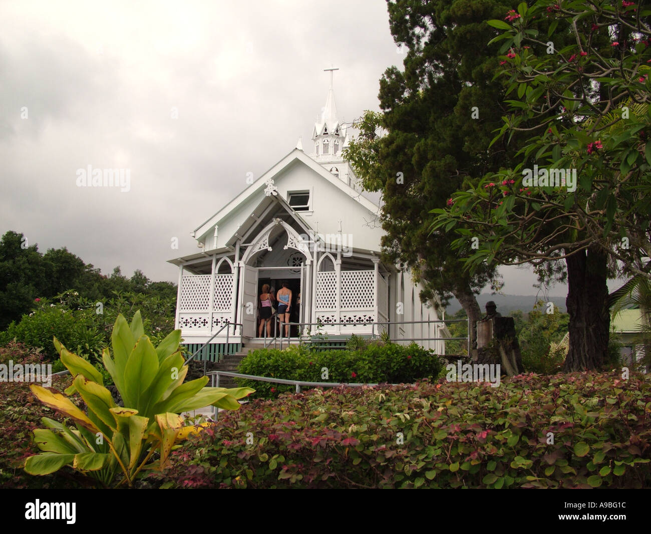 AJD42273, Big Island, Island of Hawaii, HI, Hawaii Stock Photo