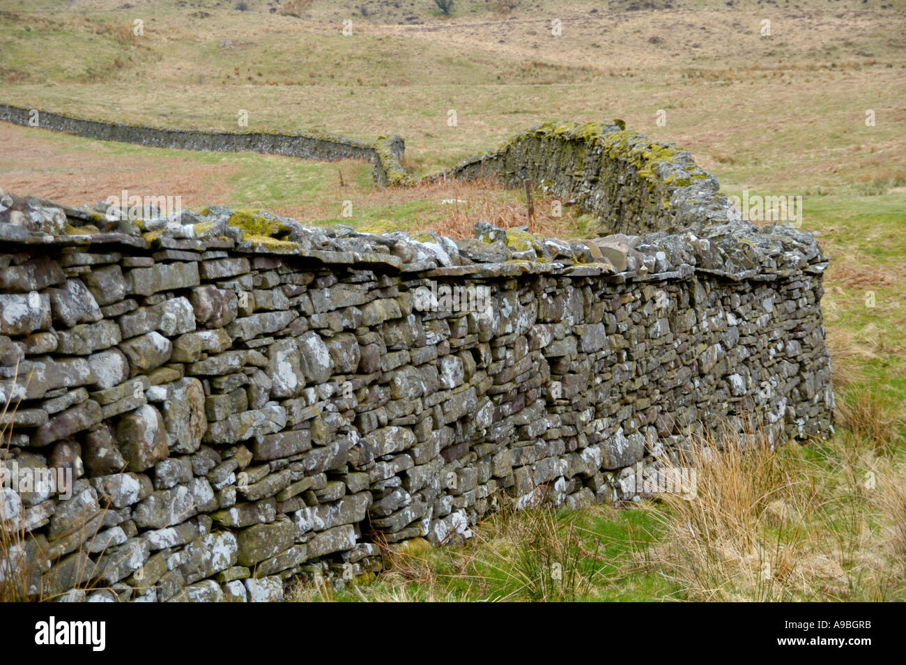 Dry stone boundary wall at Craig Cerrig Gleisiad a Fan Frynych National Nature Reserve Brecon Beacons Powys Mid Wales UK Stock Photo