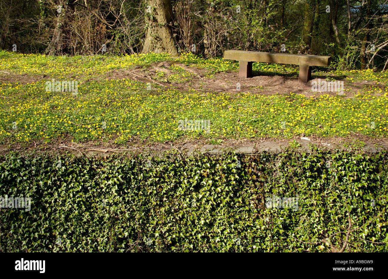 Derelict overgrown section the Crumlin Arm of Monmouthshire and Brecon Canal Newport South Wales UK at fourteen locks Stock Photo