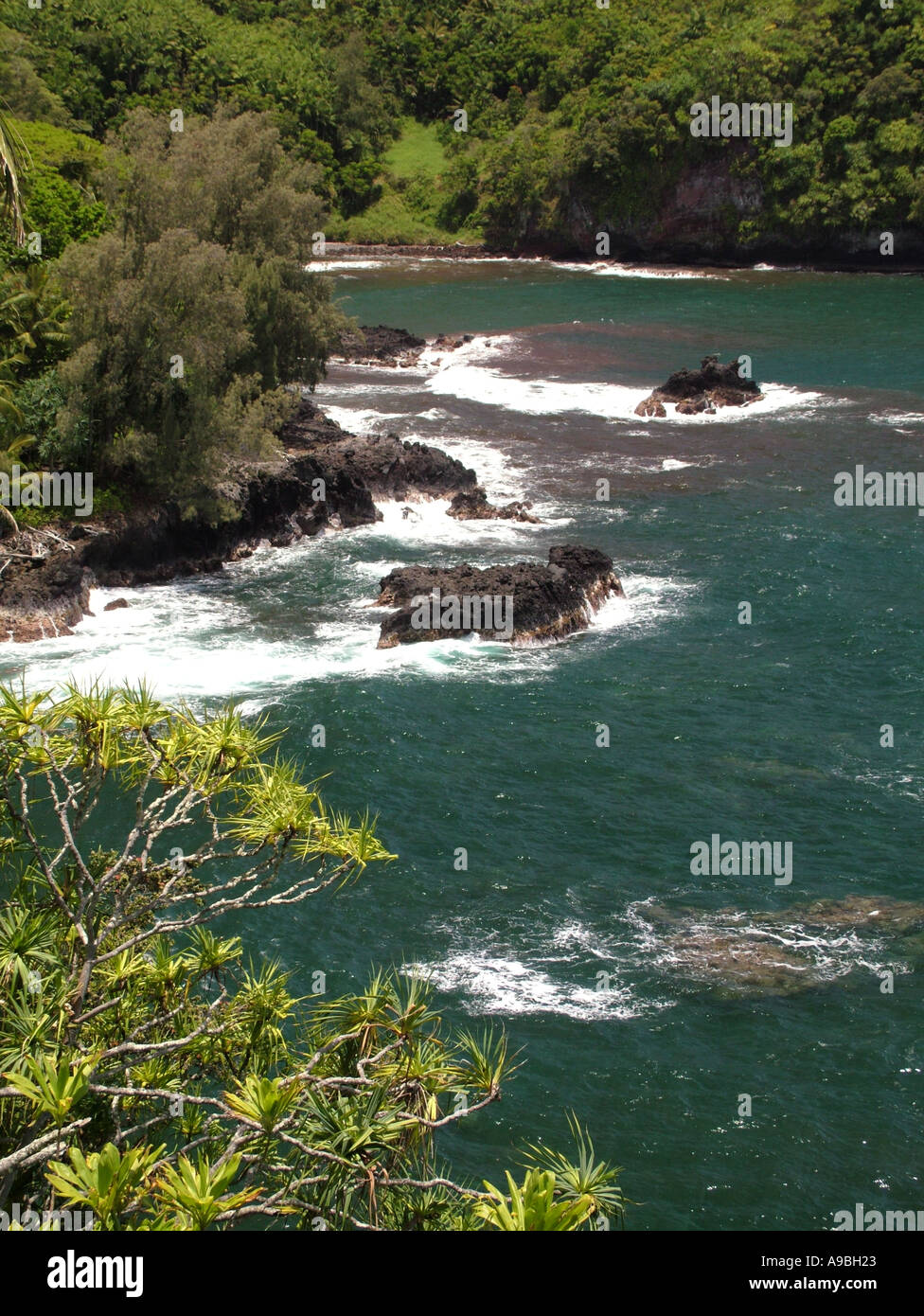 Hilo hawaii rocky tropical hi-res stock photography and images - Alamy