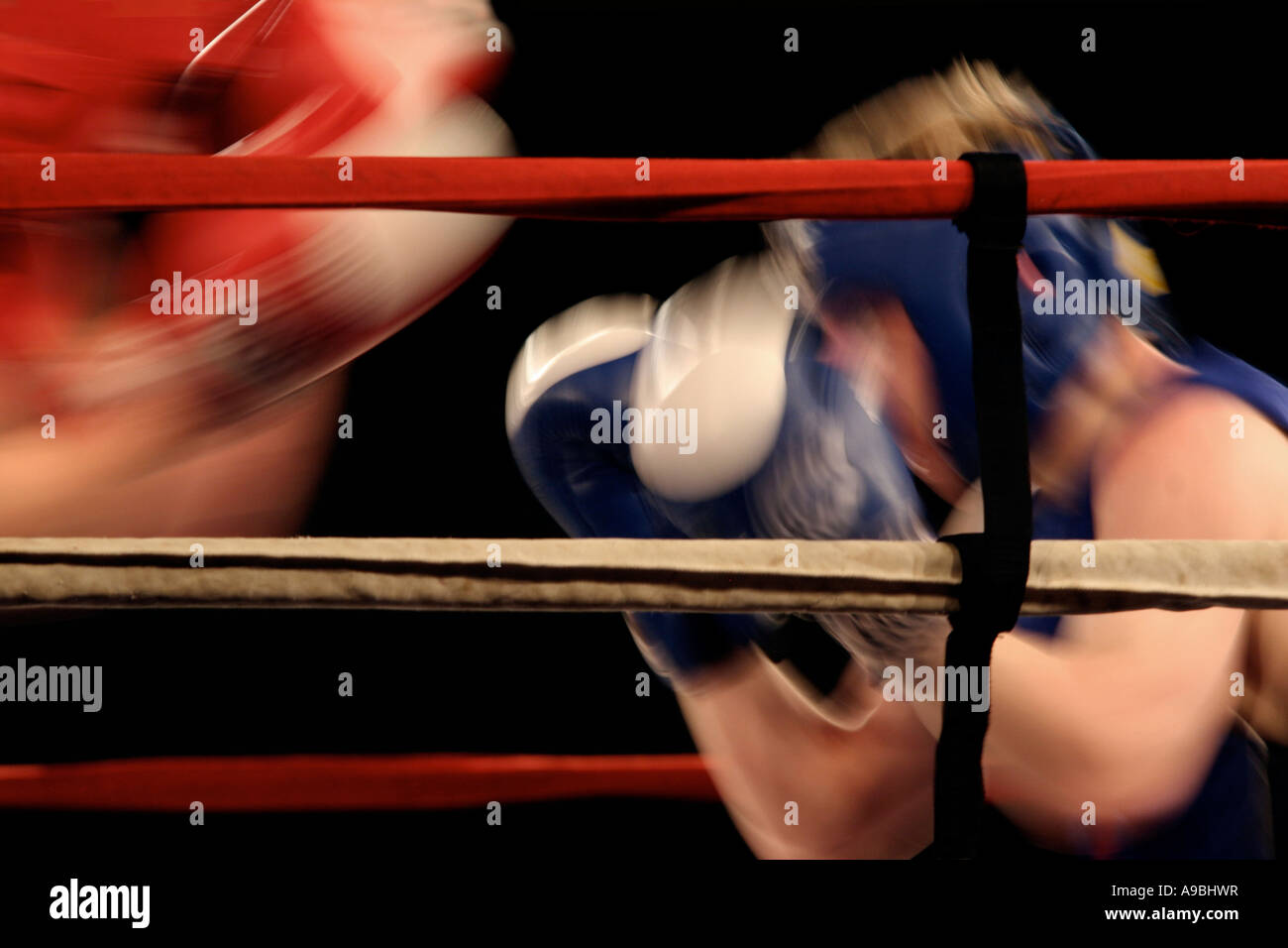 Boxing Knockout Punch High Resolution Stock Photography and Images Alamy