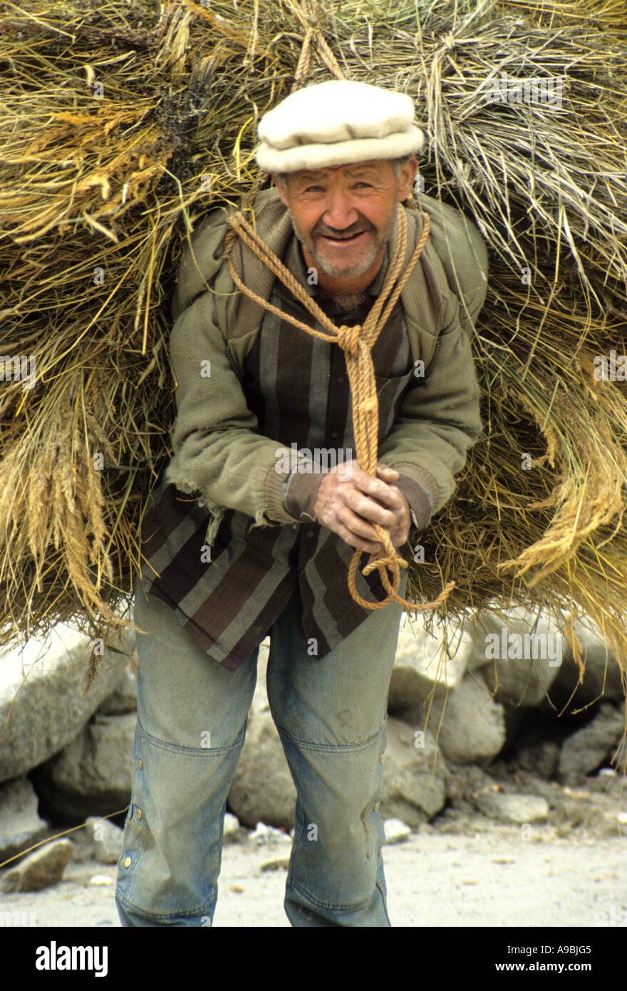 Fodder carrier in the Hunza valley  wearing the traditional hat of that area  North West Pakistan Stock Photo