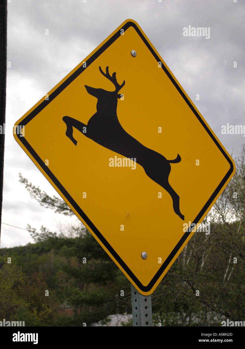deer crossing sign
