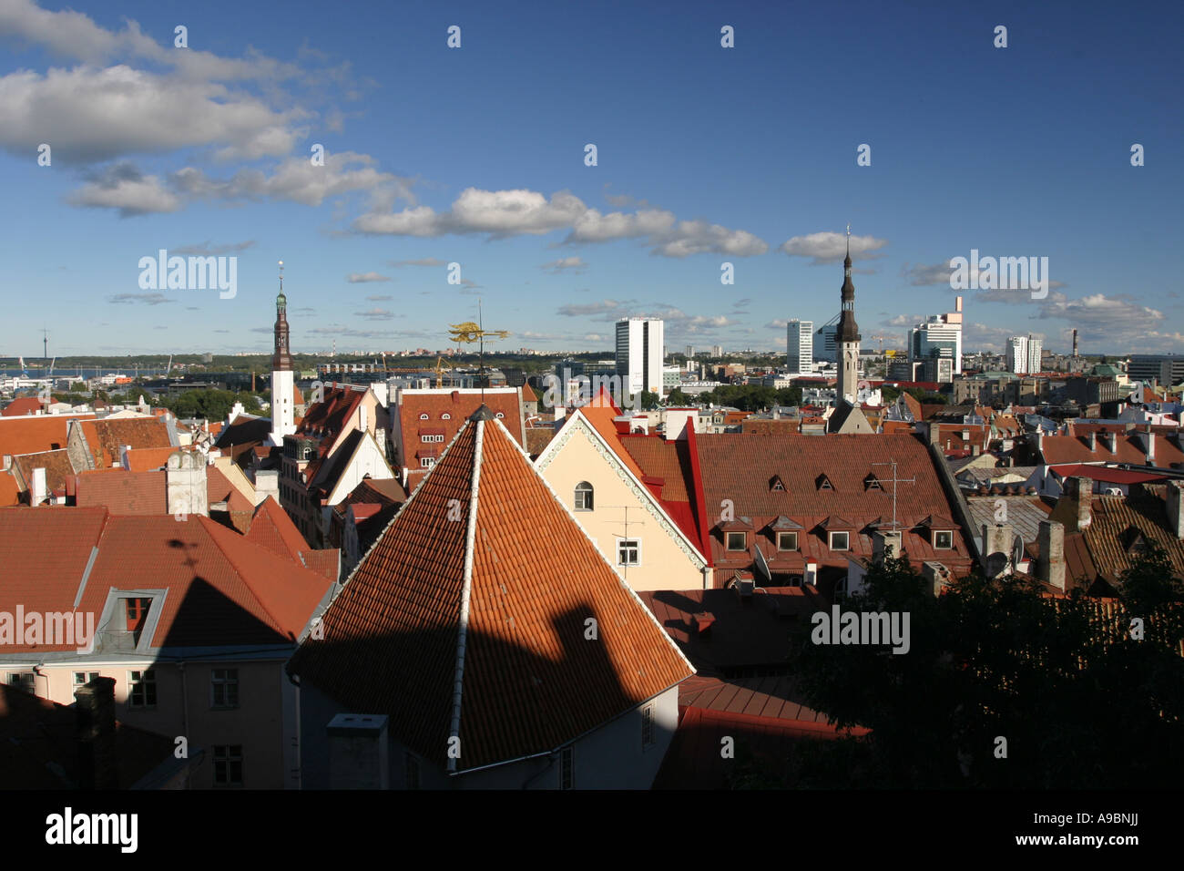 ESTONIA - view across the rooftops of the capital city Tallin Stock Photo