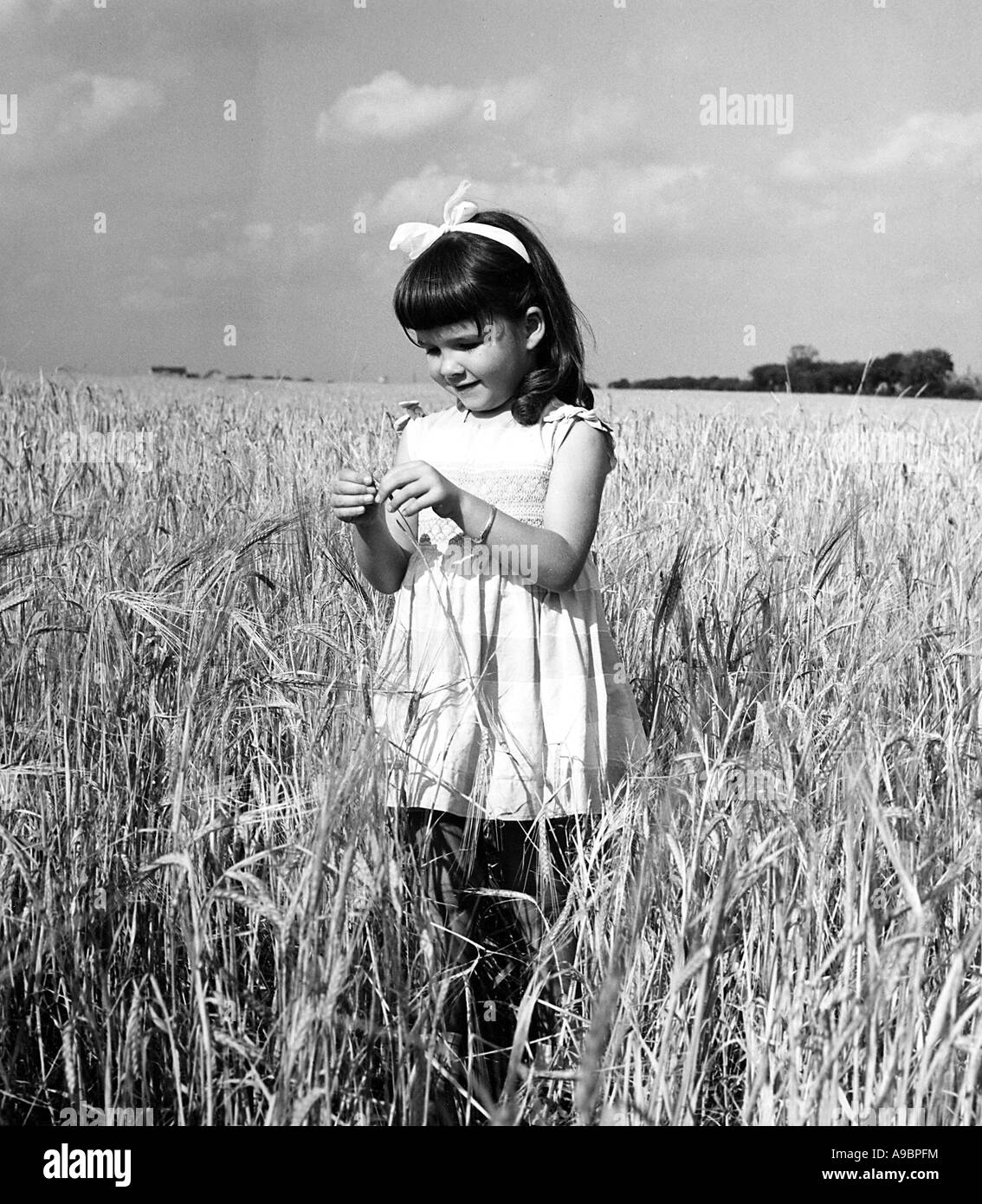 GIRL IN WHEAT FIELD Stock Photo - Alamy