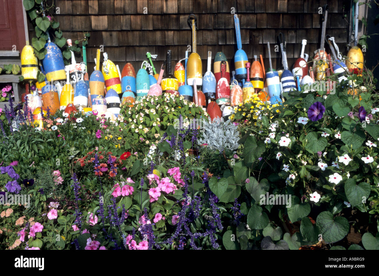 Brightly coloured fishing floats decorate a garden in Rockport Massachusetts USA Stock Photo
