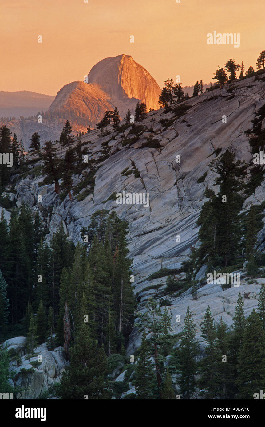 Half Dome at sunset viewed from Olmsted Point in Yosemite National Park Sierra Nevada Mountain Range California USA Stock Photo