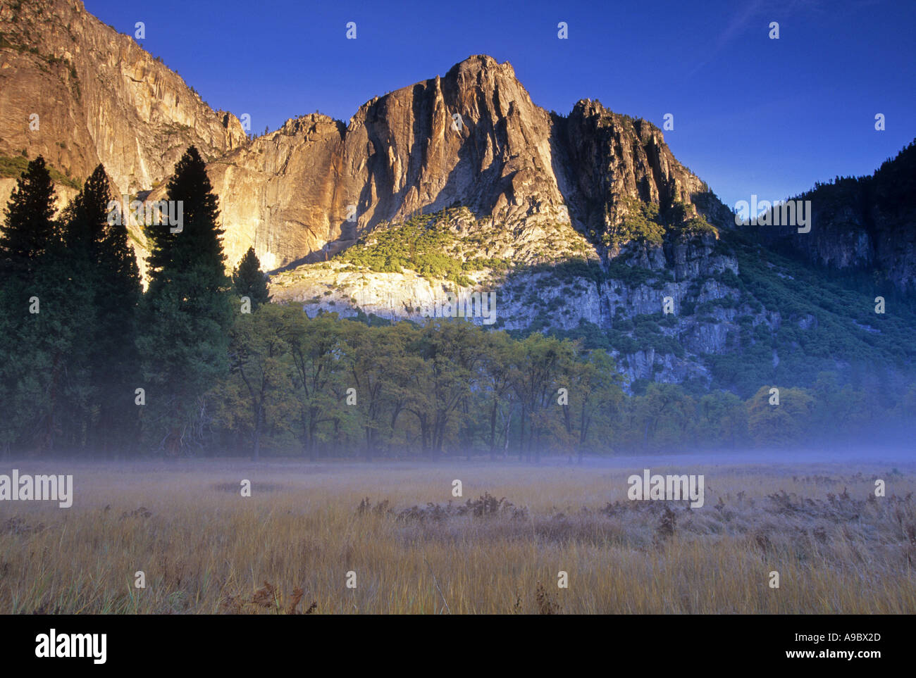 Autumn morning at Leidig Meadows in Yosemite Valley Yosemite National Park Sierra Nevada Mountain Range California USA Stock Photo