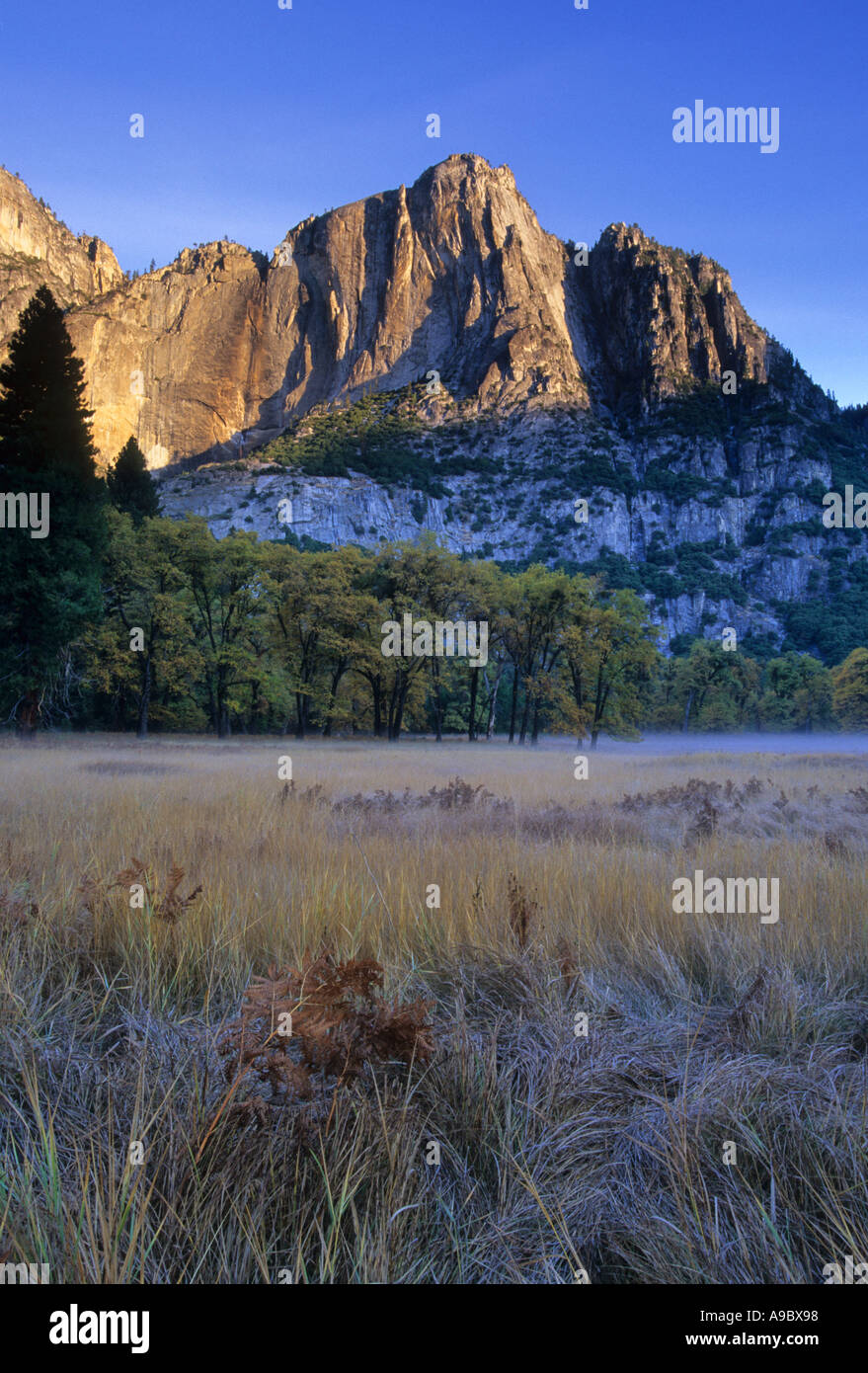 Autumn morning at Leidig Meadows in Yosemite Valley Yosemite National Park Sierra Nevada Mountain Range California USA Stock Photo