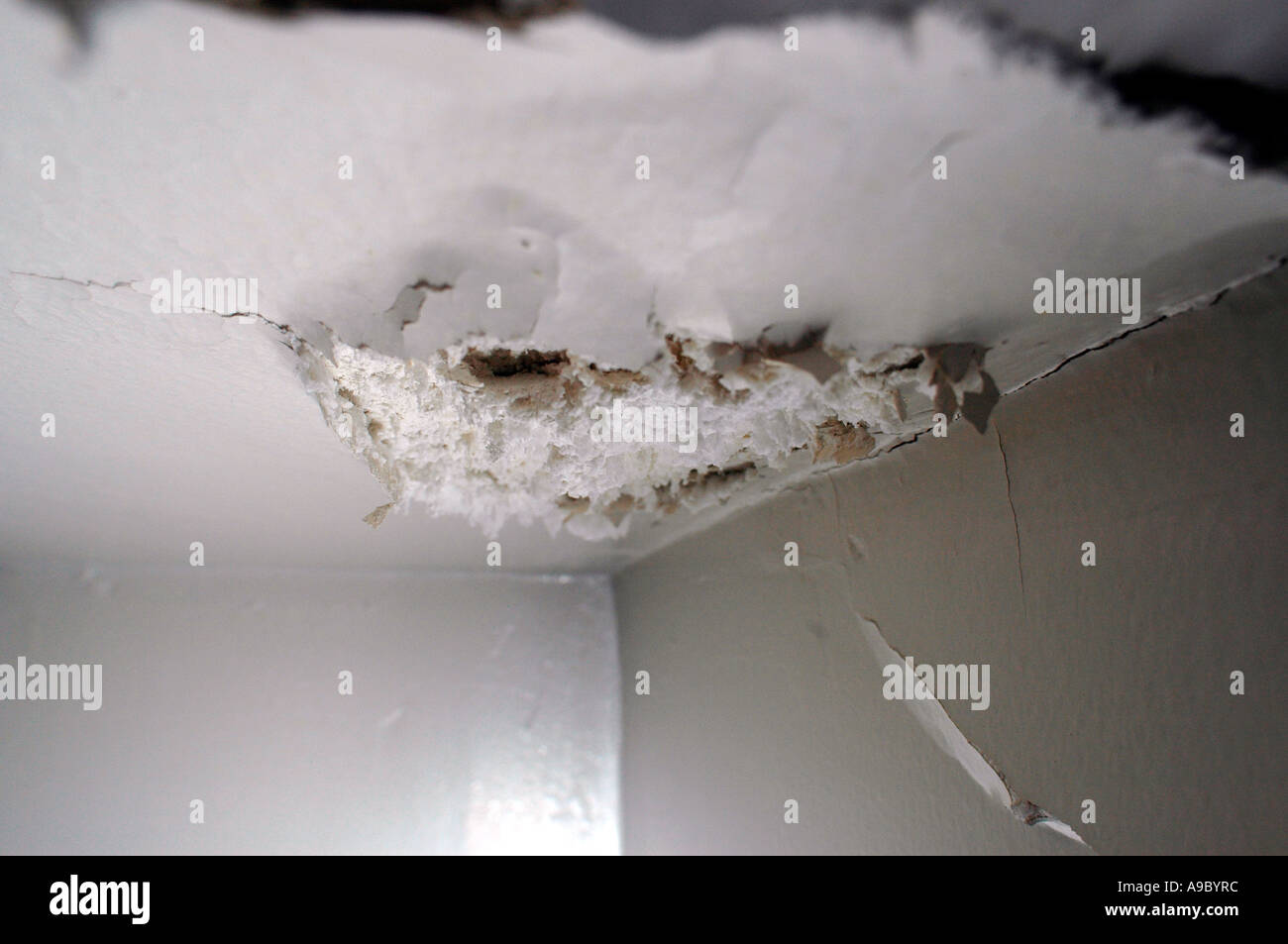 Ceiling Damaged By Water Leak Stock Photo 7038907 Alamy