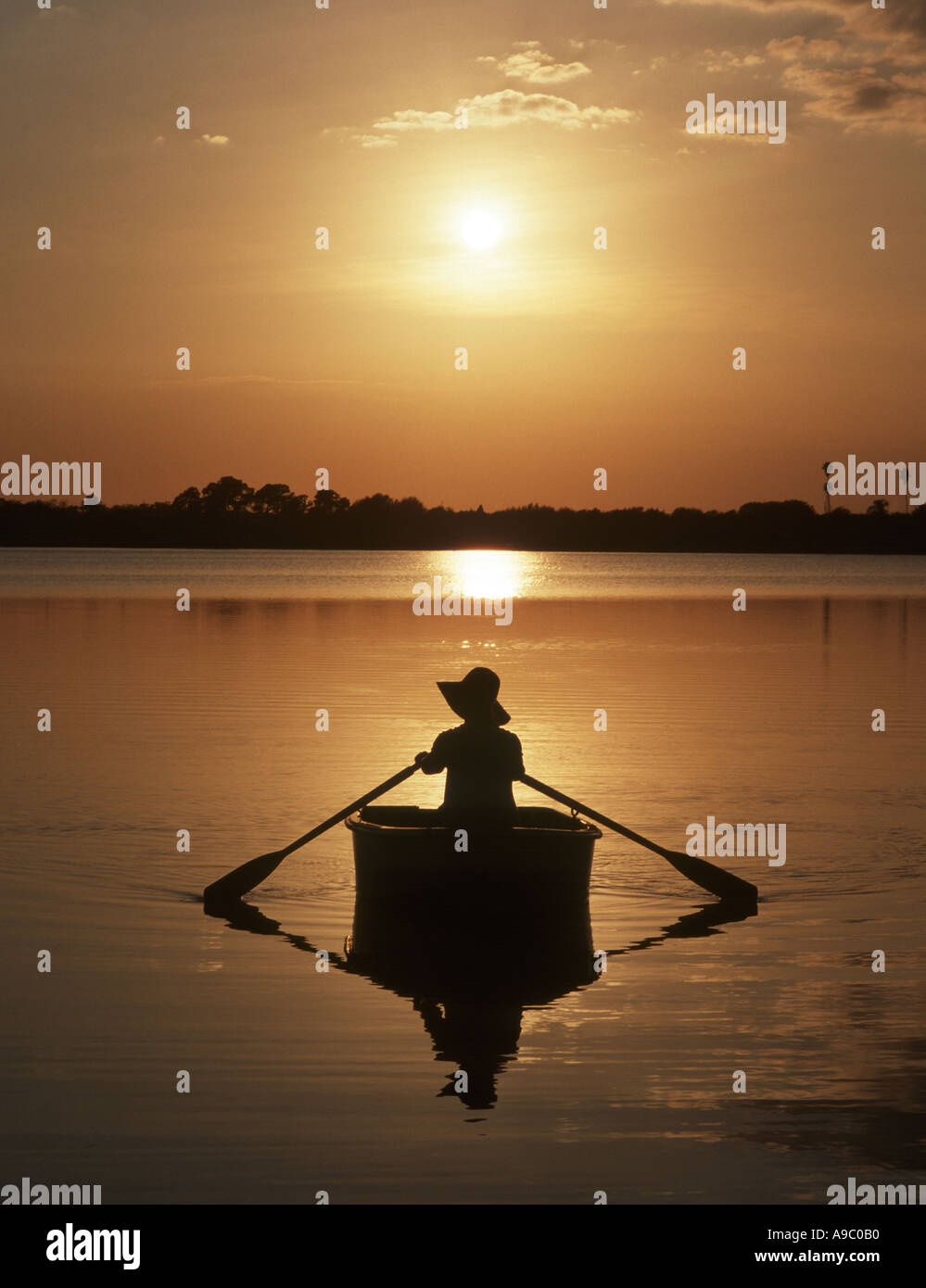 young woman alone rowing boat on lake at sunset Stock Photo 639152 Alamy
