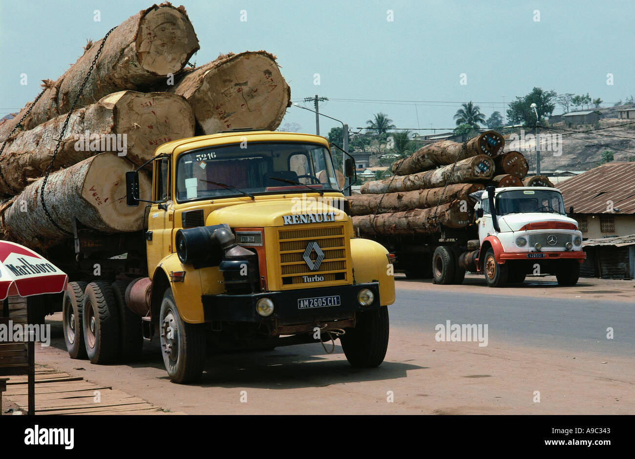 Deforestation: Trucks loaded with logs in western Ivory Coast West Africa. As of May 2023 Ivory Coast was estimated to have lost over 90% of its forest cover since 1950 (source: The Guardian). Stock Photo