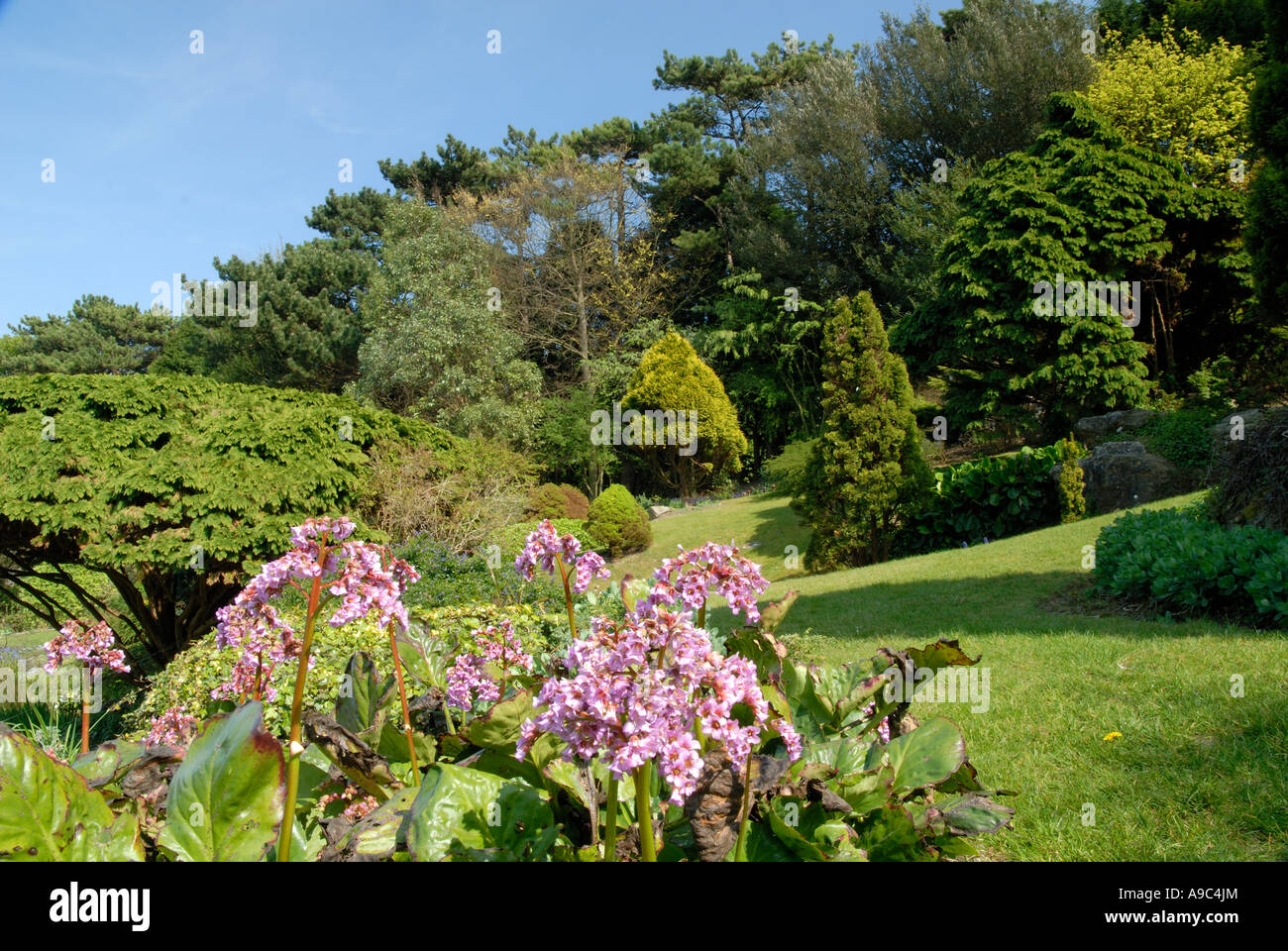 The Pines Gardens, St Margaret's Bay, Kent. Stock Photo