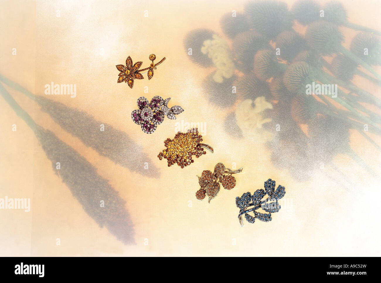 breastpin Stock Photo