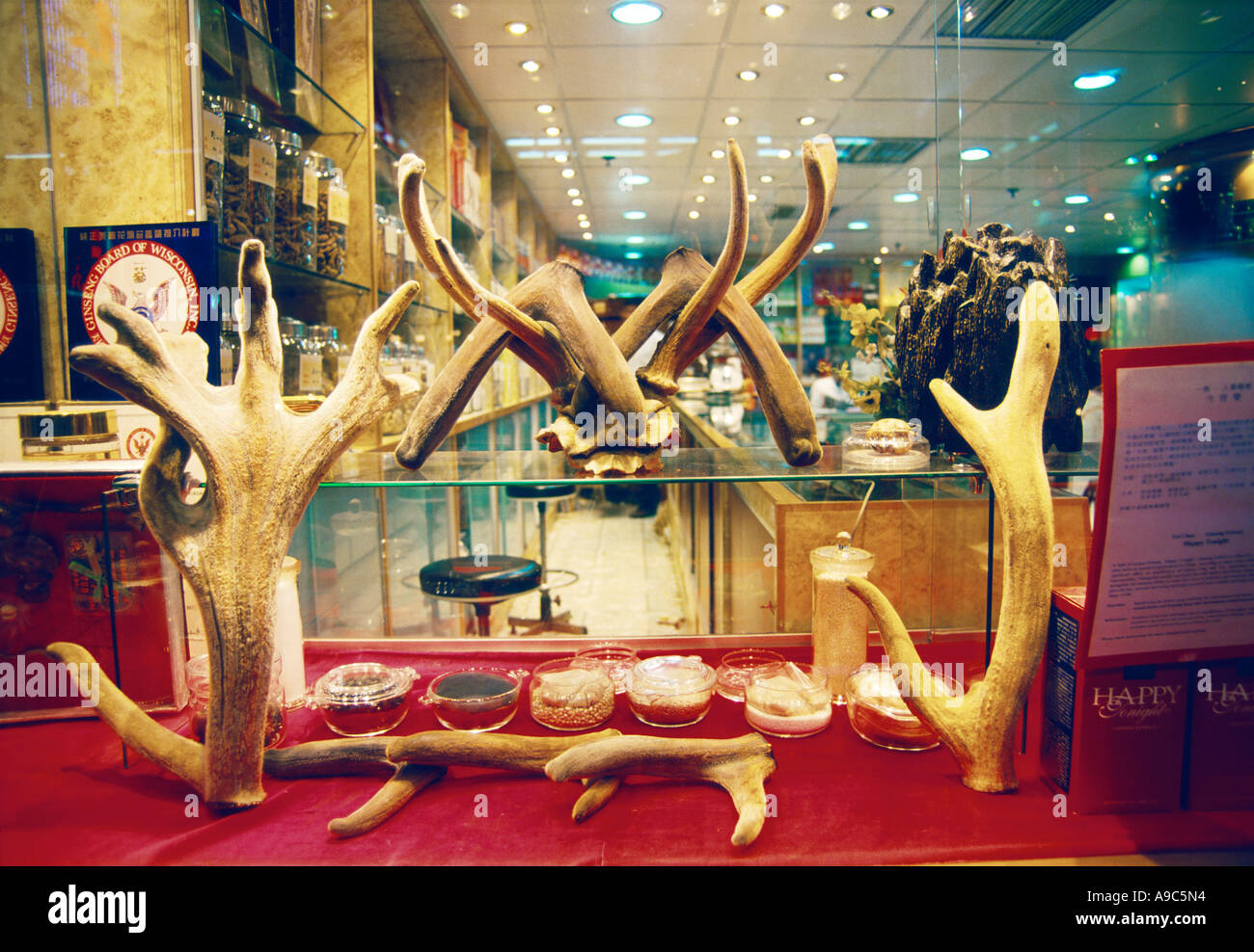 Kong antlers top